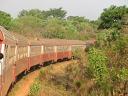 Le train arrive dans les paysages de l’Adamaoua