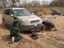 Bien ensablés, sans 4×4, dans un mayo