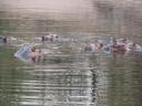 Dans l’eau, on est vraiment bien…