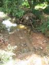 Un cours d’eau bien pollué