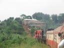 Les paysages changent lorsque le train arrive au sud : quelle végétation !