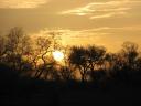 Joli coucher de soleil dans le parc